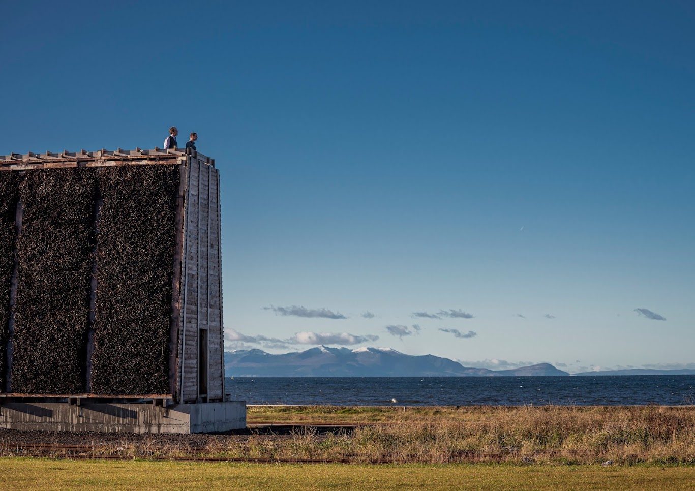 The Thorn Tower (1) (4).jpg