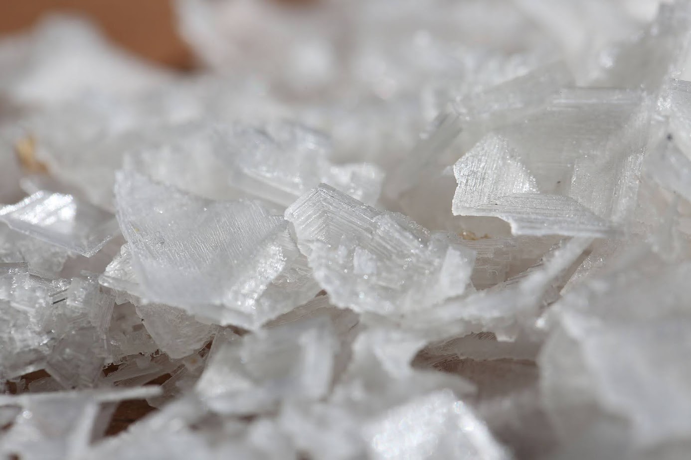 Blackthorn Salt Aug 2020 (64).JPG